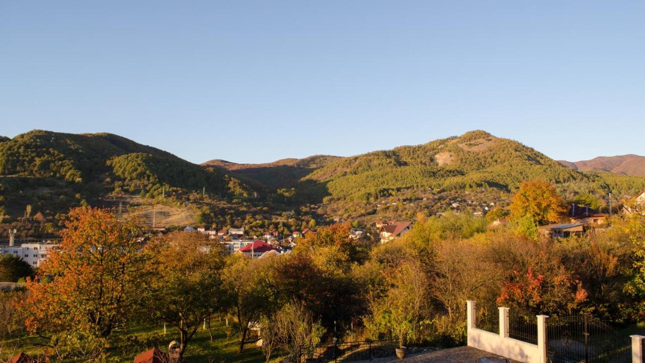 Panoramic Ξενοδοχείο Baia-Sprie Εξωτερικό φωτογραφία